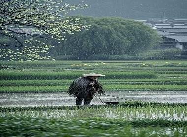 润泽启新章 ——“雨水”